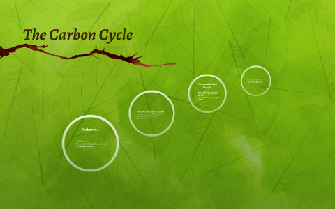 The Carbon Cycle by Jason Stein on Prezi