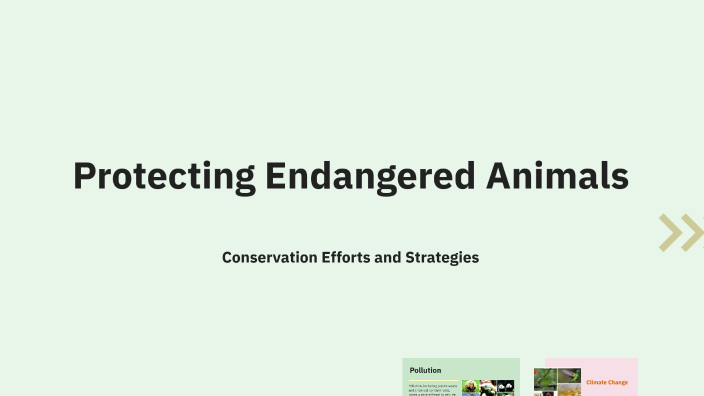 Protecting Endangered Animals by Thành Phạm on Prezi