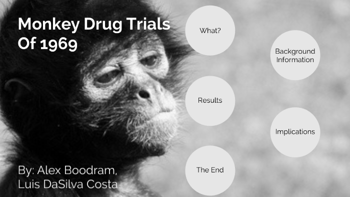 monkey drug experiment wiki