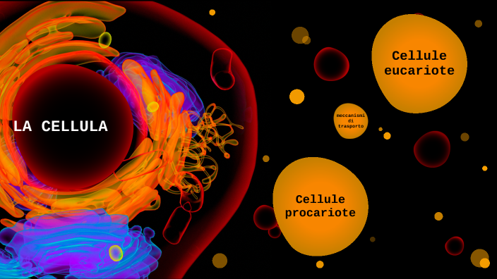 La cellula by victoria isabela on Prezi