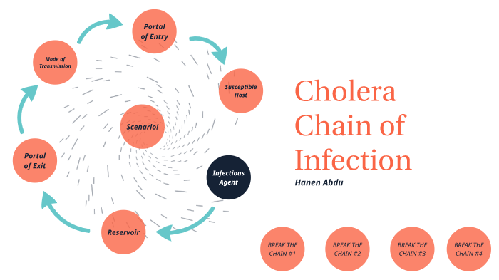 Break the Chain of Infection by hanen abdu on Prezi