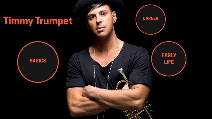 Timmy Trumpet, Blogs & Videos