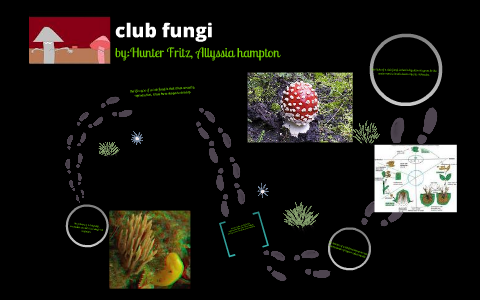 Club Fungi By Hunter Fritz