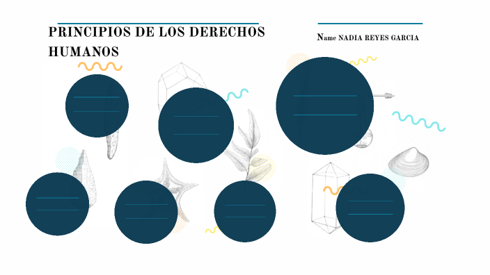 PRINCIPIOS DE LS DERECHOS HUMANOS by nadia reyes on Prezi