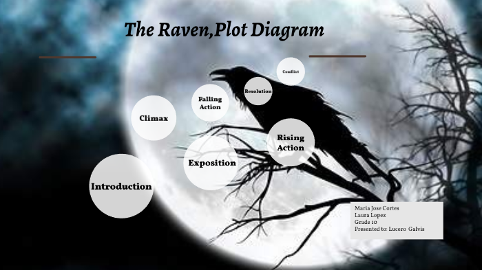 What Is The Conflict In A Raven Flies South