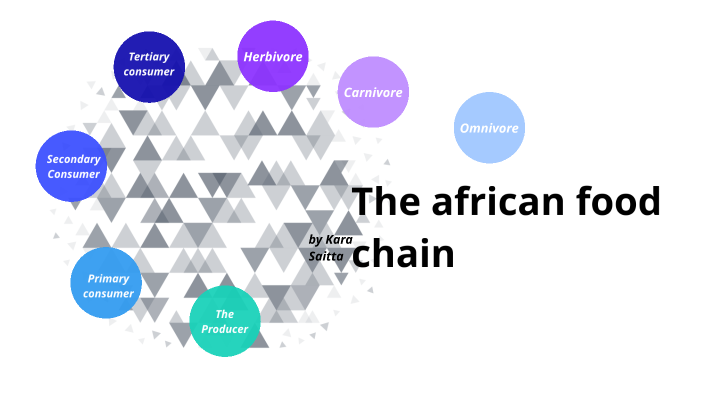 the-african-food-chain-by-kara-saitta