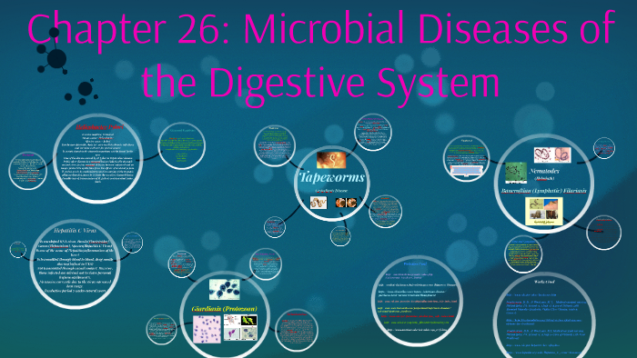 Chapter 26: Microbial Disease of the Digestive System by Sierra Duke on ...