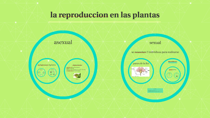 la reproduccion sexual y asexual en plantas Josefina Tobal by JOSEFINA ...