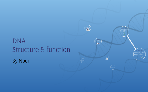 DNA by Noor K on Prezi