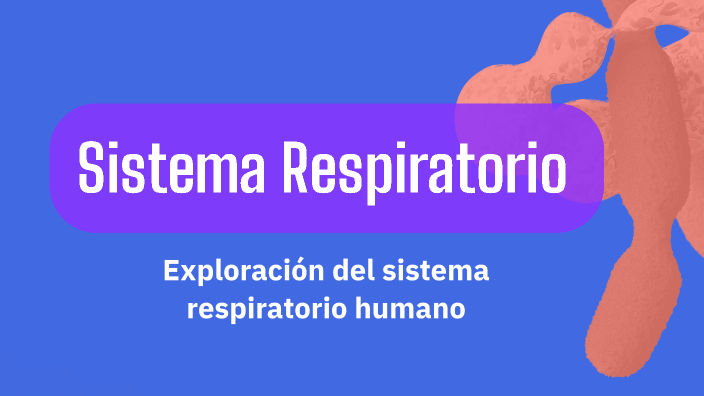 Sistema Respiratorio by Llylian Vallejos on Prezi