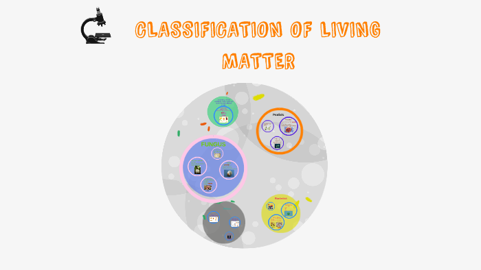 classification-of-living-matter-by-macarena-pareja-on-prezi