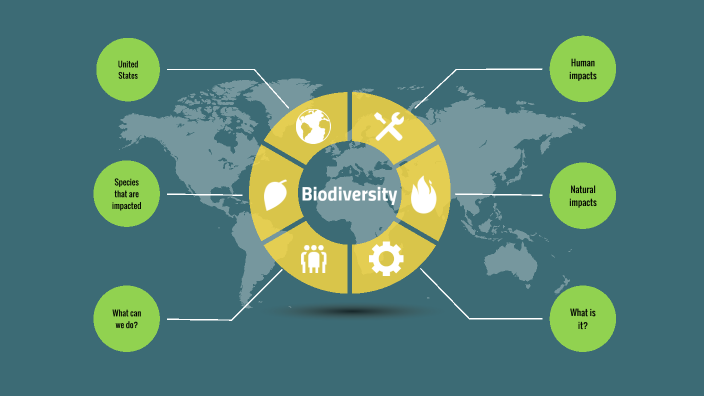 Biodiversity In The US By Beth W On Prezi