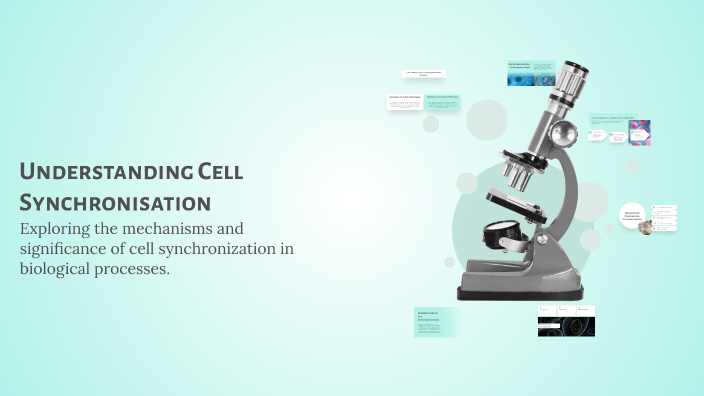 Understanding Cell Synchronisation by Mukesh K on Prezi