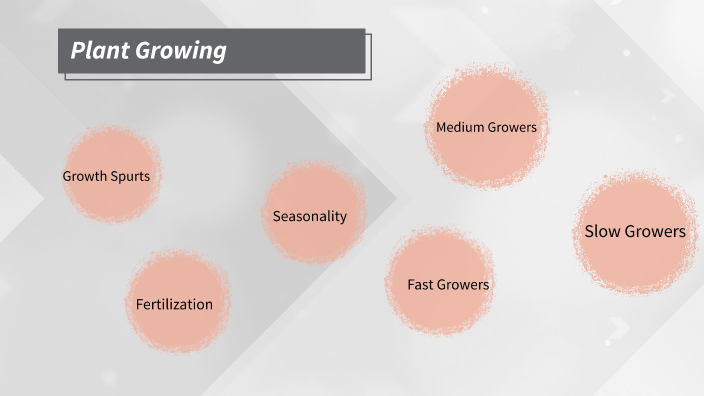 plant growing by Evelina b on Prezi