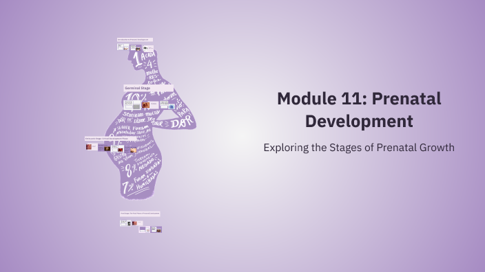 Module 11: Prenatal Development by Elvie Ilarde on Prezi