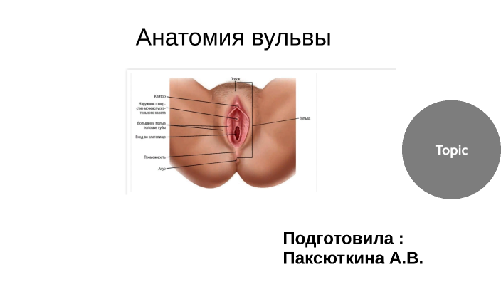 Большие половые губы раком (62 фото) - секс фото