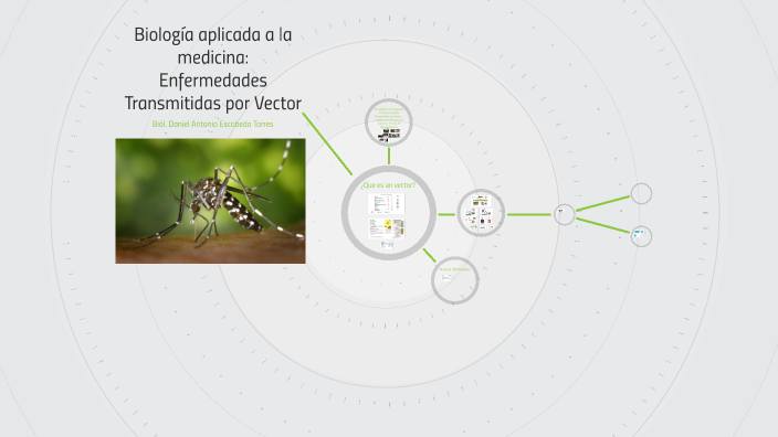 Enfermedades Transmitidas Por Vectores By Daniel Escobedo On Prezi Enfermedades Transmitidas Por Vectores By Daniel Escobedo On Prezi