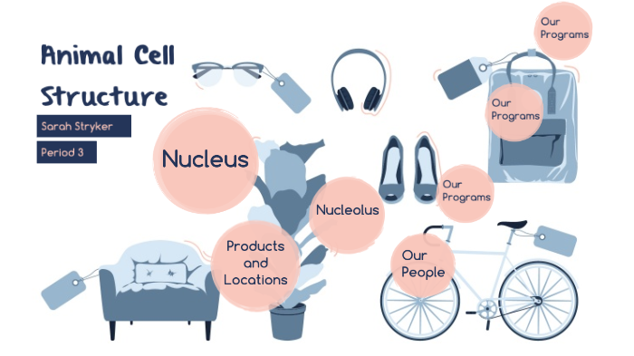 Cell Structure by TMS2020 SarahS on Prezi