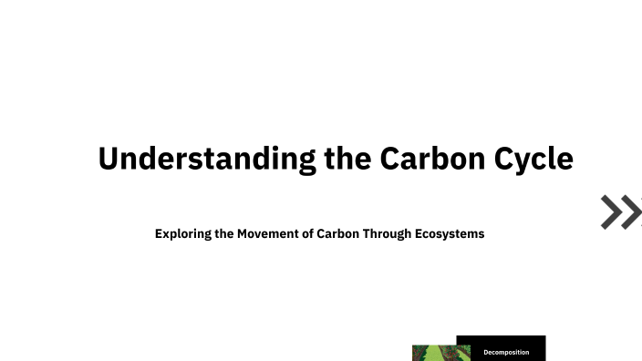 Understanding the Carbon Cycle by PPS on Prezi