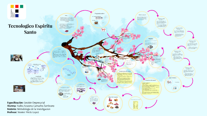 Tecnologico Espiritu Santo by Yadira Camacho on Prezi
