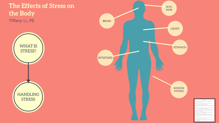 Effects of Stress on the Body by Tiffany Li on Prezi