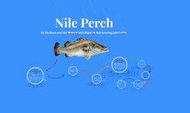 Nile Perch By Ella Dayan