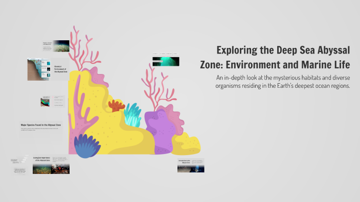 Exploring the Deep Sea Abyssal Zone: Environment and Marine Life by ...