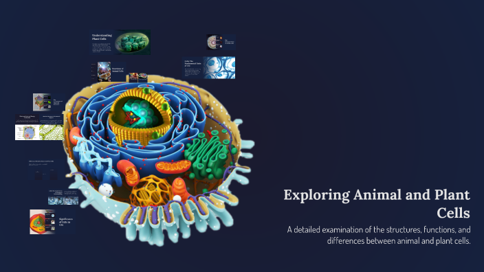 Exploring Animal and Plant Cells by Ibrahim Ali on Prezi