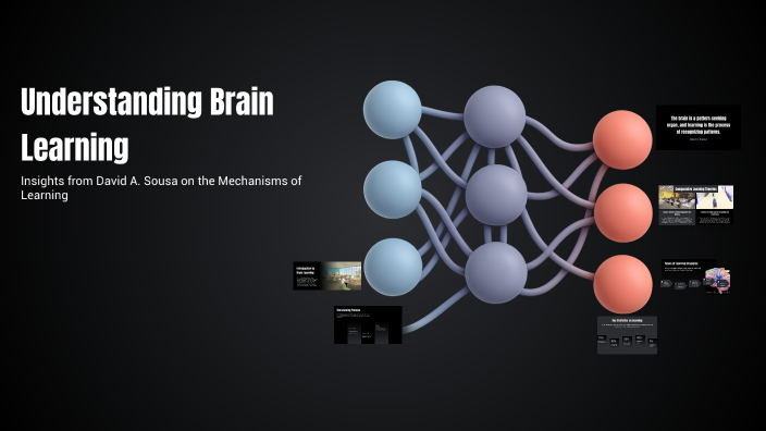 Understanding Brain Learning by Lydia Silva on Prezi