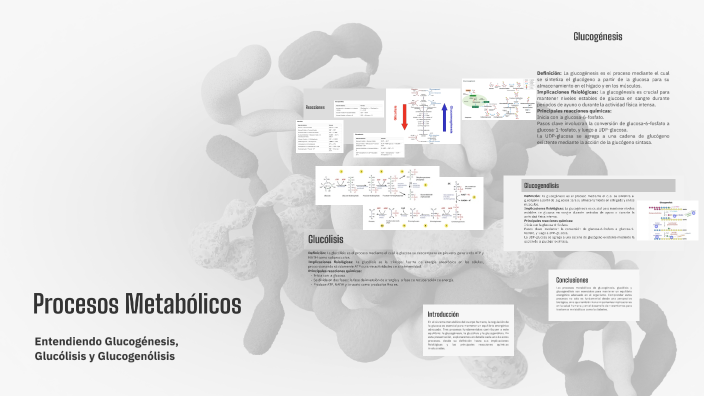 Procesos Metabólicos by Axel Razo on Prezi