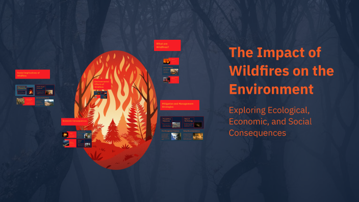 The Impact of Wildfires on the Environment by Carlota Ferreira on Prezi