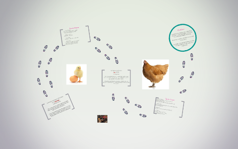 Last Night I Dreamed of Chickens by Jordan Tappa on Prezi