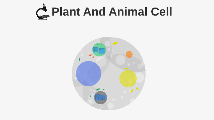 Plant And Animal Cell by on Prezi