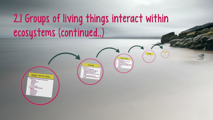 2.1 Groups of living things interact within ecosystems (cont by Annalyn ...