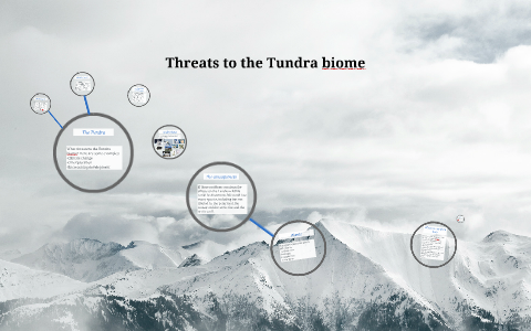 Threats to the Tundra biome by Maddy MacDonald on Prezi