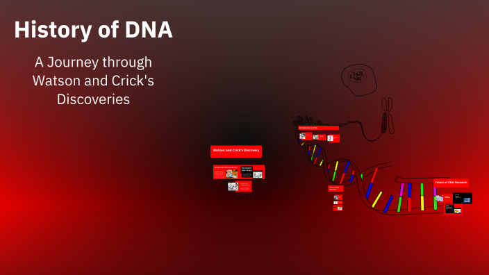 History of DNA by Meghna Yanamala on Prezi