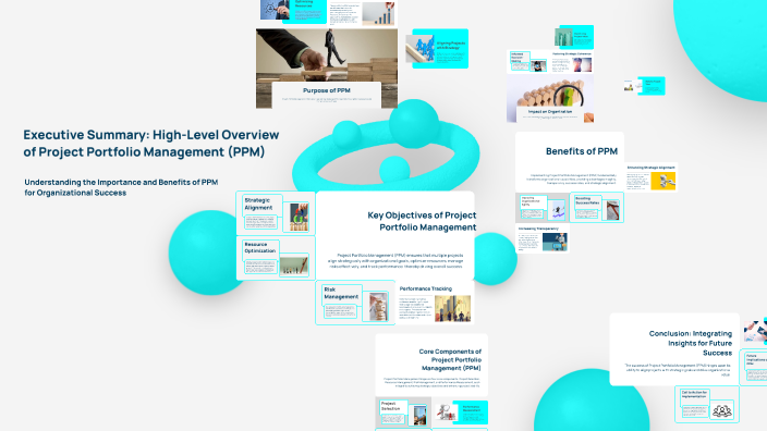 Executive Summary: High-Level Overview of Project Portfolio Management ...