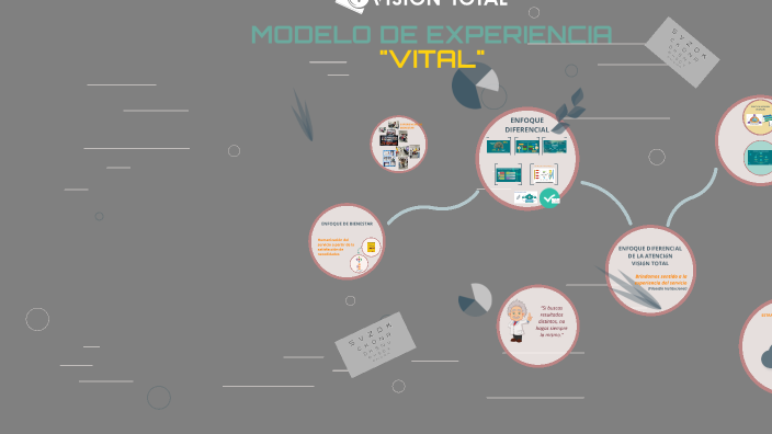 modelo-experiencia-vital-visi-n-total-s-a-s-by-diego-cardona