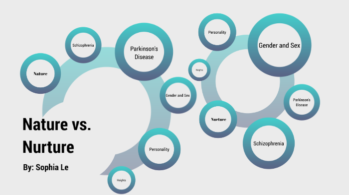 nature-vs-nurture-mind-map-by-baonhi-le