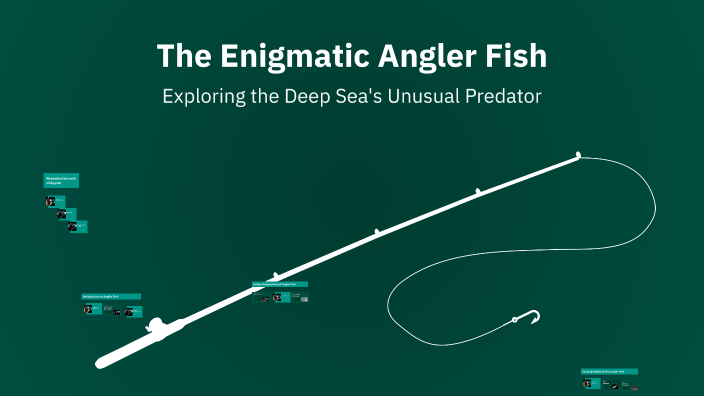 Angler fish by Kady Torres on Prezi