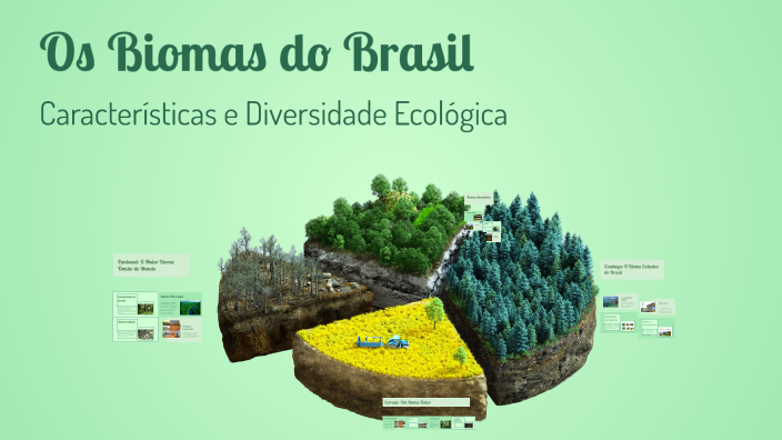 Os Biomas do Brasil by Joao Victor on Prezi