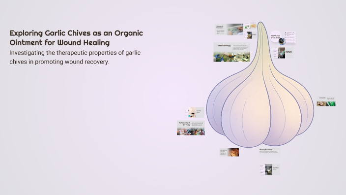 Exploring Garlic Chives as an Organic Ointment for Wound Healing by ...