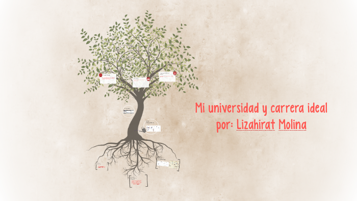 Mi universidad y carrera ideal by liza molina on Prezi