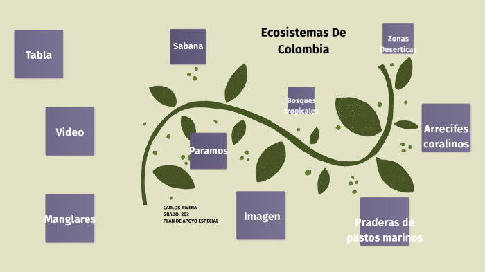 Ecosistemas De Colombia by CARLOS RIVERA on Prezi