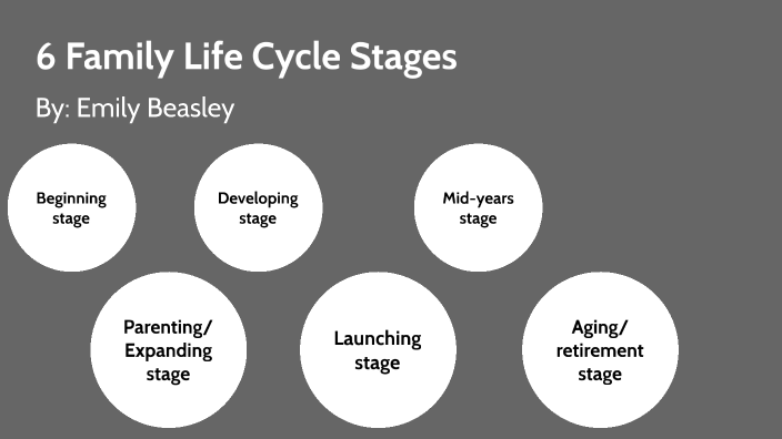 In Which Part Of The Family Life Cycle Quizlet