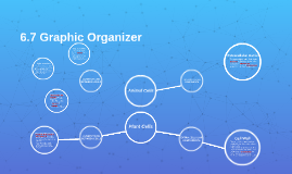 6 7 Graphic Organizer By Sterling Alic