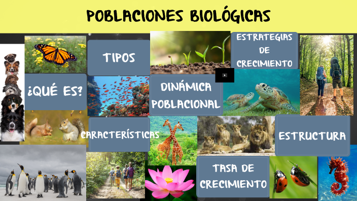 Poblaciones Biológicas by Jessie Navarro on Prezi