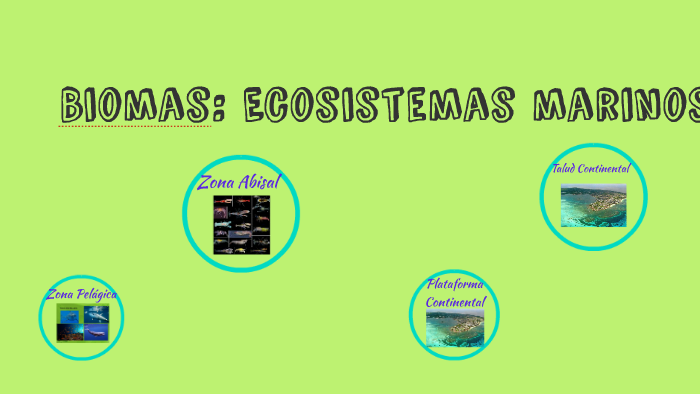 Biomas: Ecosistemas marinos by Aline Curiel on Prezi