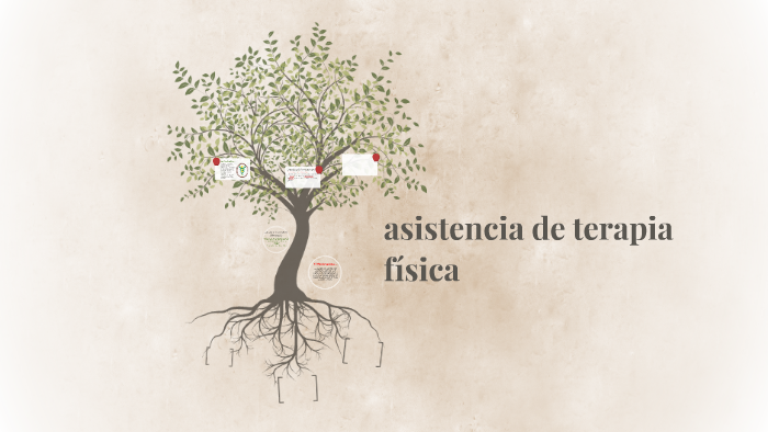 La Fisioterapia Y La Terapia Ocupacional Incluyen El Análisi By Juan Alcachofa On Prezi 4004