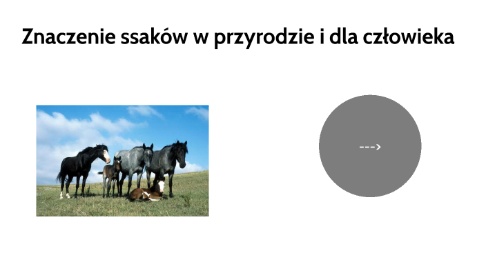 Znaczenie ssaków w przyrodzie i dla człowieka by Zofia Trajer on Prezi
